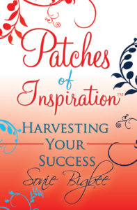 Patches of Inspiration